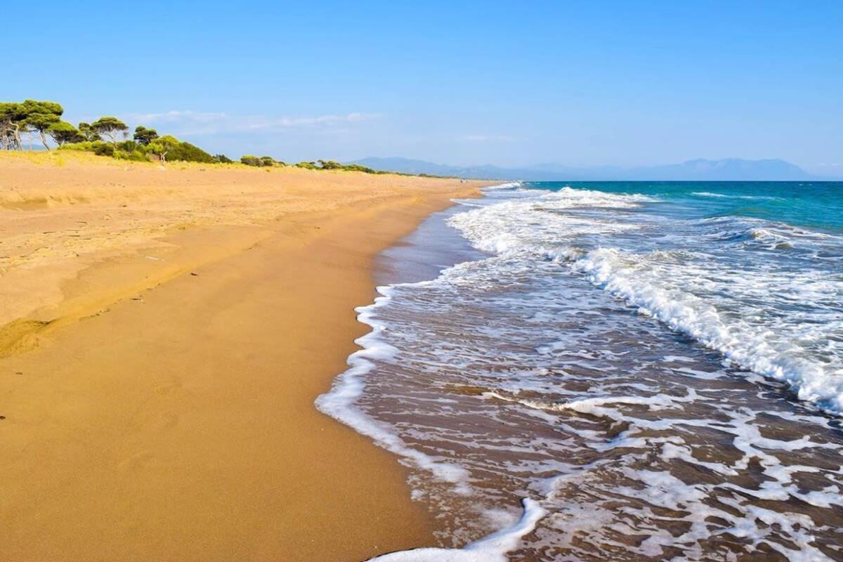 דירות זכארו Nelly'S Seaview Retreat - Summer Cozy Getaway מראה חיצוני תמונה